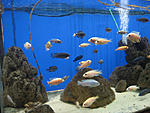 IMG 7494