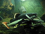 IMG 7504