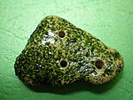 P4250789