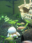 IMG 7564