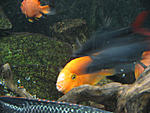IMG 7510