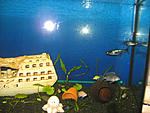 IMG 7558