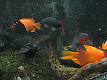 IMG 7508