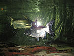 IMG 7491