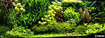 user4575 pic4416 1240169156