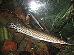 IMG 7492