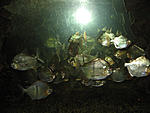 IMG 7500