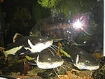 IMG 7490