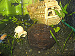 IMG 7562
