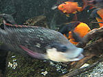 IMG 7507
