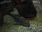 IMG 7502