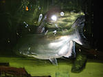 IMG 7488