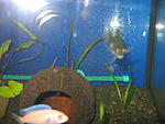 IMG 7554