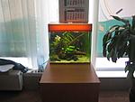 IMG 4996 1