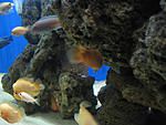 IMG 7498