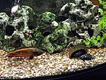 DSCF0365