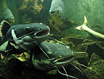 IMG 7505