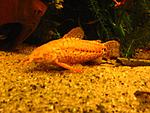 IMG 7957