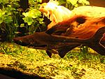 IMG 7961