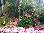 DSC02220