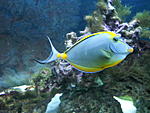 DSCN0945  