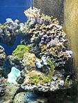 DSCN0937  