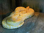 DSCN0983  