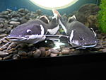 DSCN0897  