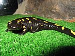 IMG 6786
