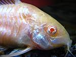 IMG 5966 
-