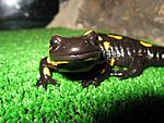 IMG 6789