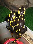 IMG 6781