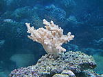 DSCN0932  