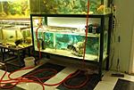 med gallery 167 591 311966