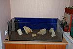 DSC 8039