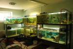 tn gallery 167 591 233099