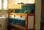 med gallery 167 591 11273