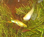 02 nov 074 copy