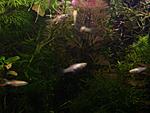 02 nov 089