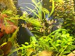 DSCN1167