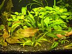 DSCN1157