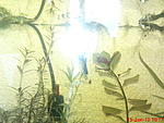 DSC02245