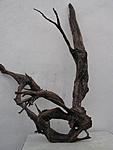 IMG 8820