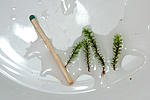 IMG 9943 2