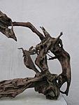 IMG 8821