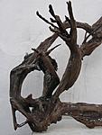 IMG 8818