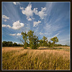 Canon 5D, 
Canon EF 16x35 f2,8LII