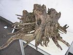 IMG 8825