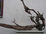 IMG 8822