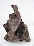 IMG 8808